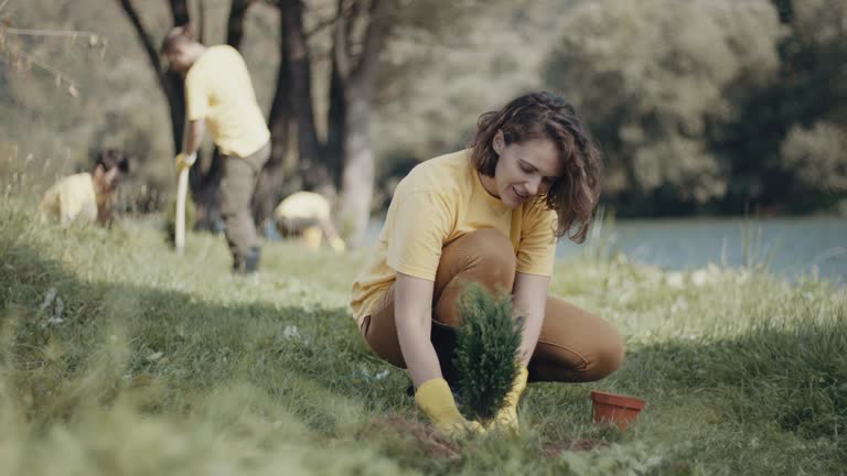 Best Lawn Renovation and Restoration  in Layhill, MD